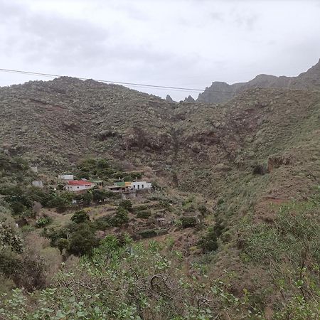 Tenerife Santa Cruz de Tenerife Eksteriør billede