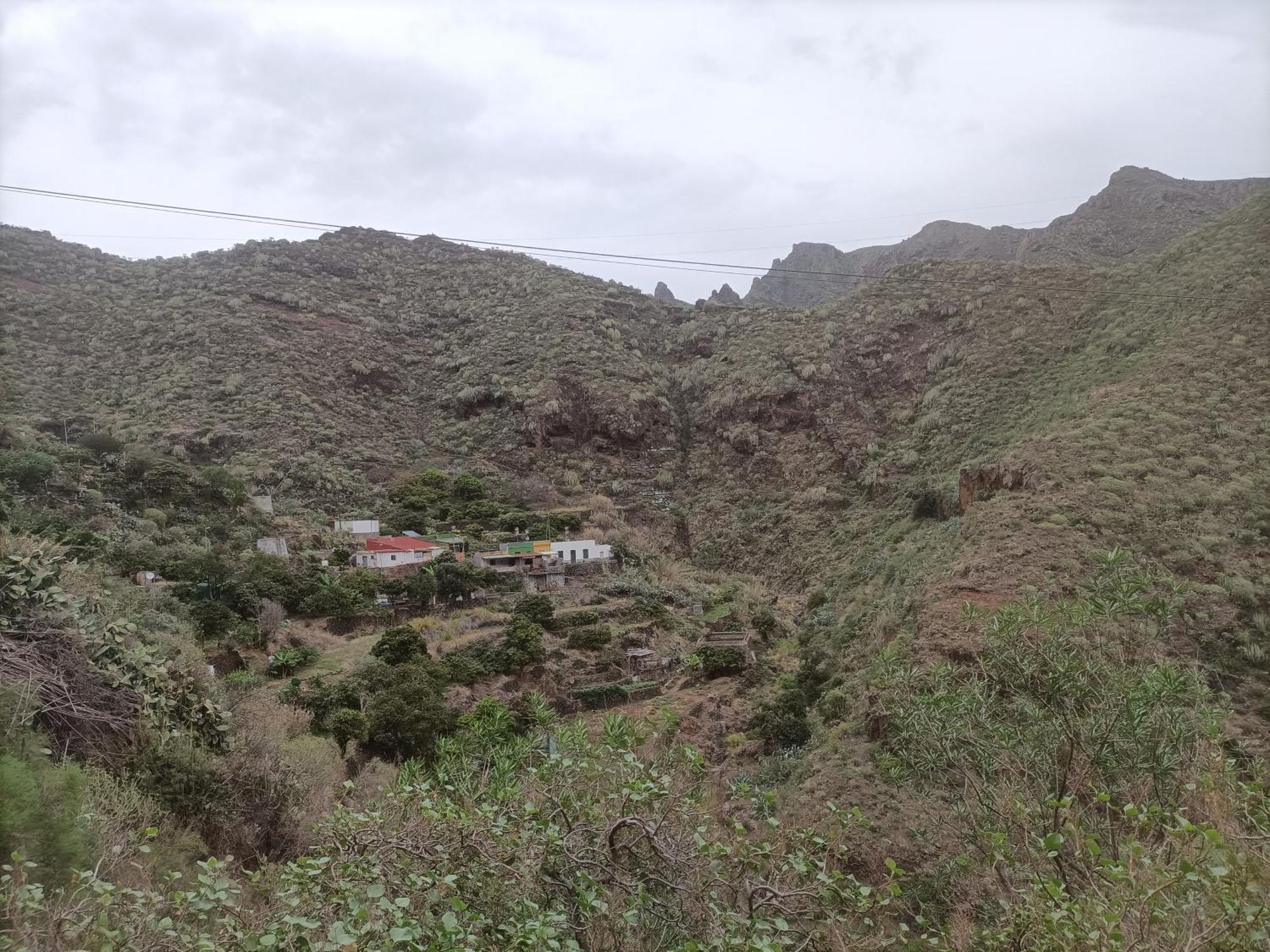 Tenerife Santa Cruz de Tenerife Eksteriør billede