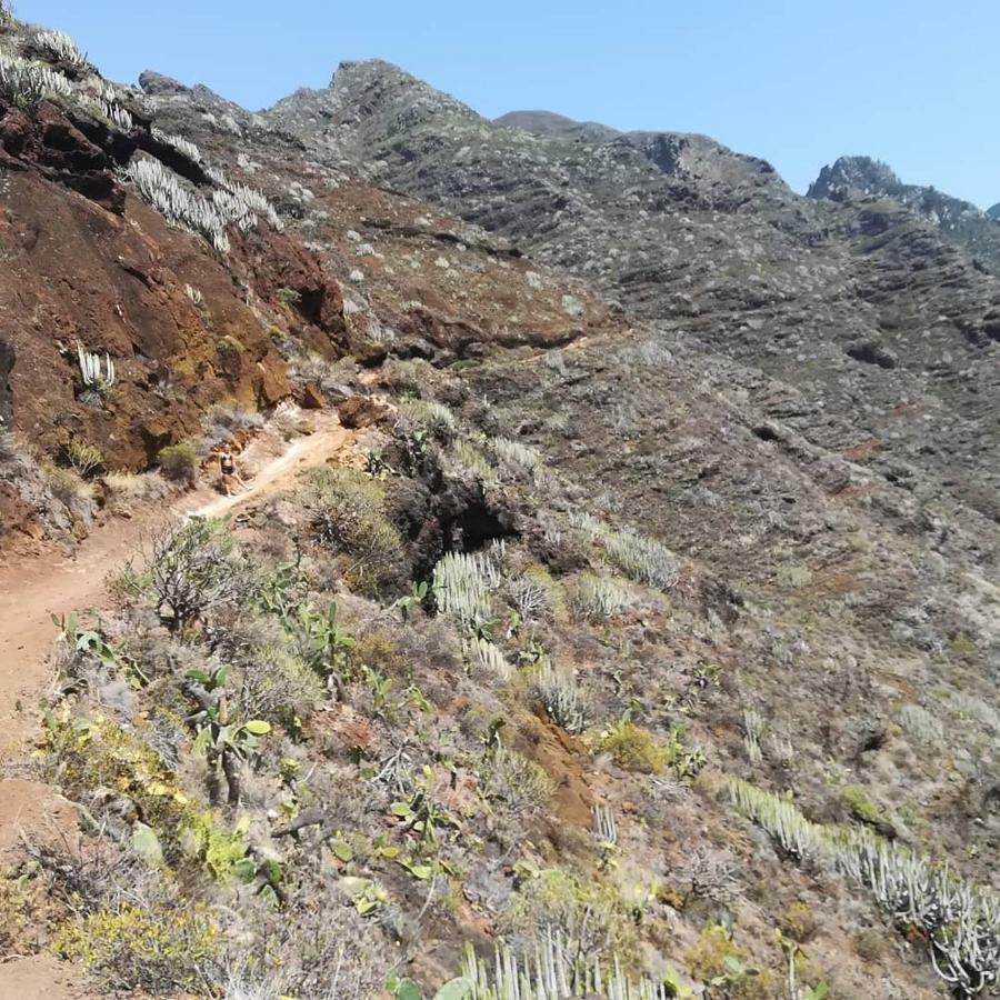Tenerife Santa Cruz de Tenerife Eksteriør billede