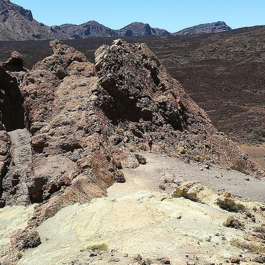 Tenerife Santa Cruz de Tenerife Eksteriør billede