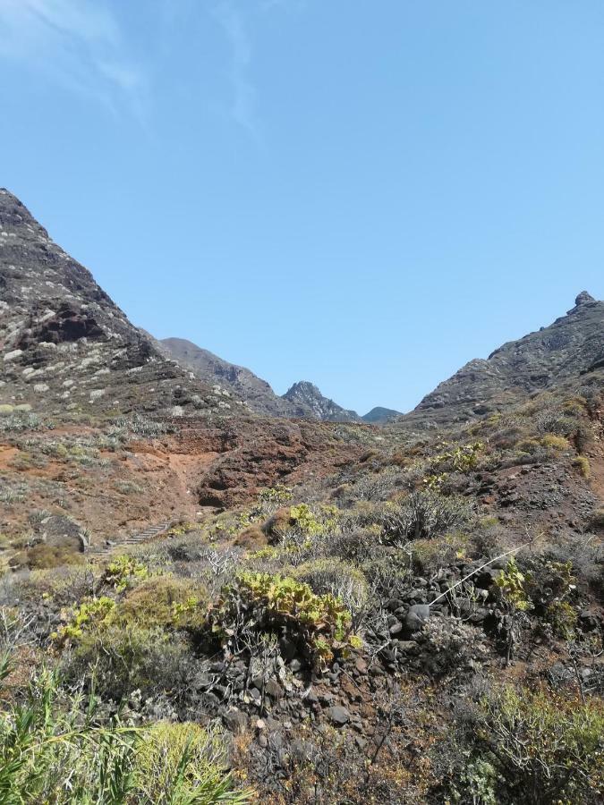Tenerife Santa Cruz de Tenerife Eksteriør billede