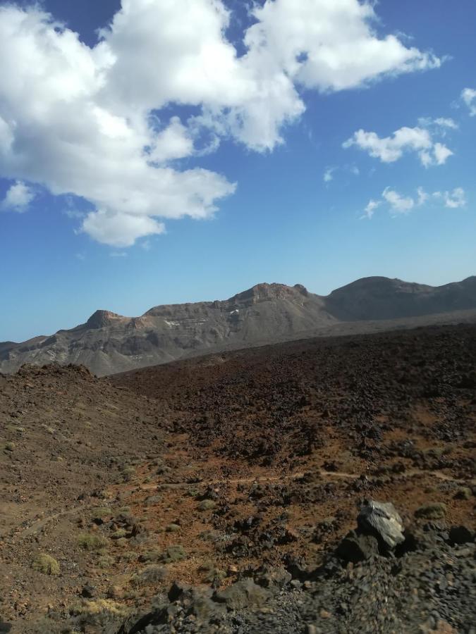 Tenerife Santa Cruz de Tenerife Eksteriør billede